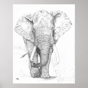 Elephant Poster