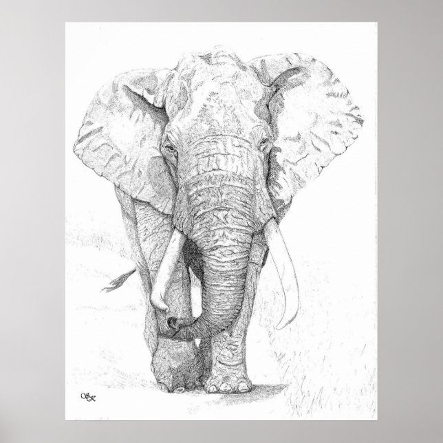 Elephant Poster (Vorne)
