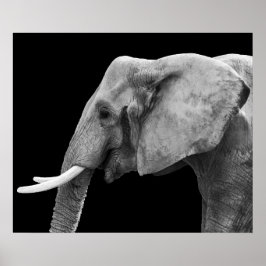 Elephant - Poster