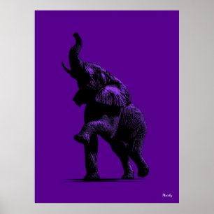 Elephant Poster - Schwarze Silhouette auf Lila