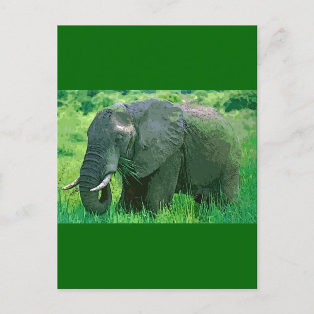 Elephant Postkarte (Vorderseite)