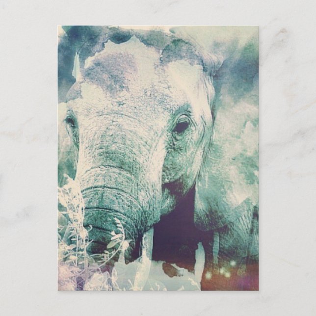 Elephant Postkarte (Vorderseite)