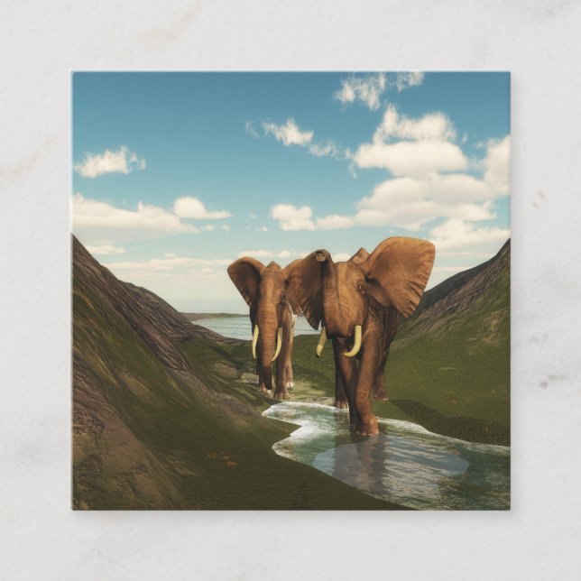 Elephant Quadratische Visitenkarte (Vorderseite)
