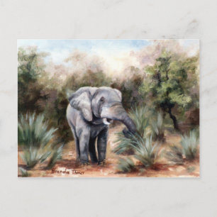Eléphant qui passe par carte postale