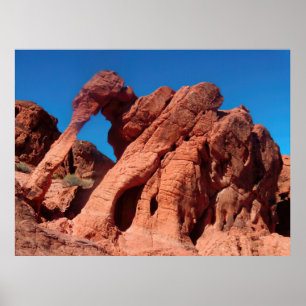 Elephant Rock Poster