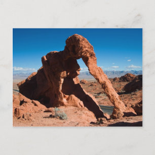 Elephant Rock Postkarte