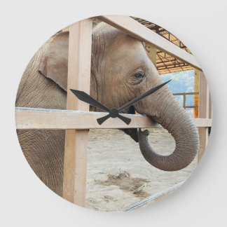 Elephant Sanctuary Große Wanduhr