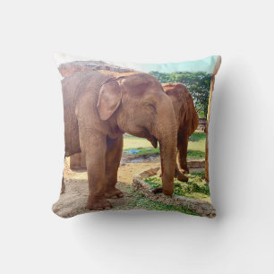 Elephant Sanctuary Kissen