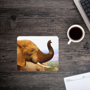 Elephant Scents Wildlife Fotografy Mousepad