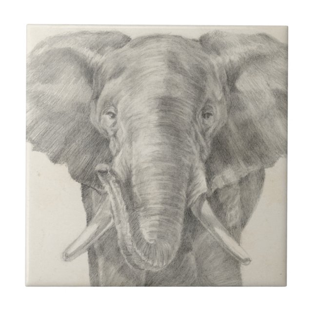 Elephant Sketch Fliese (Vorderseite)
