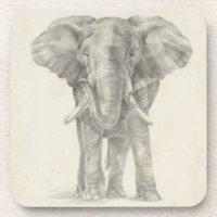 Elephant Sketch