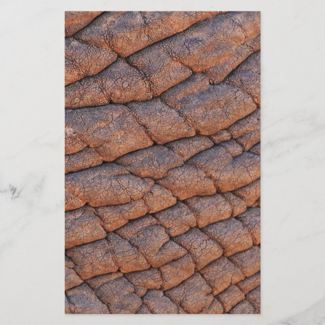Elephant Skin Briefpapier (Vorderseite)