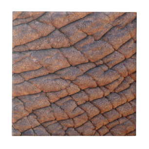 Elephant Skin Fliese
