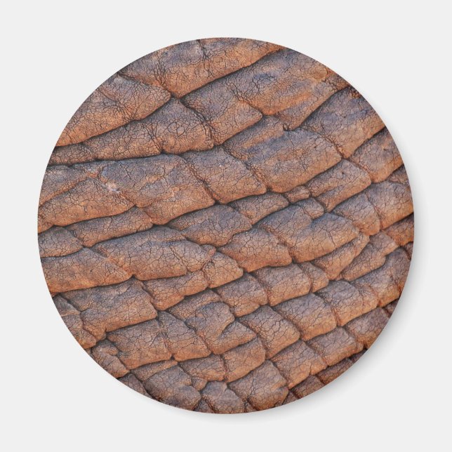 Elephant Skin Magnet (Vorne)