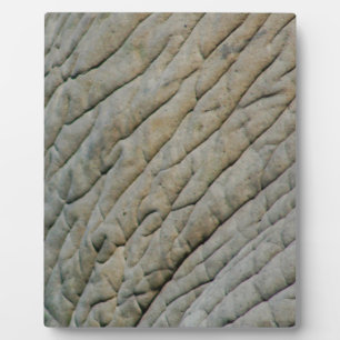 Elephant Skin Personalized With Your Name Fotoplatte