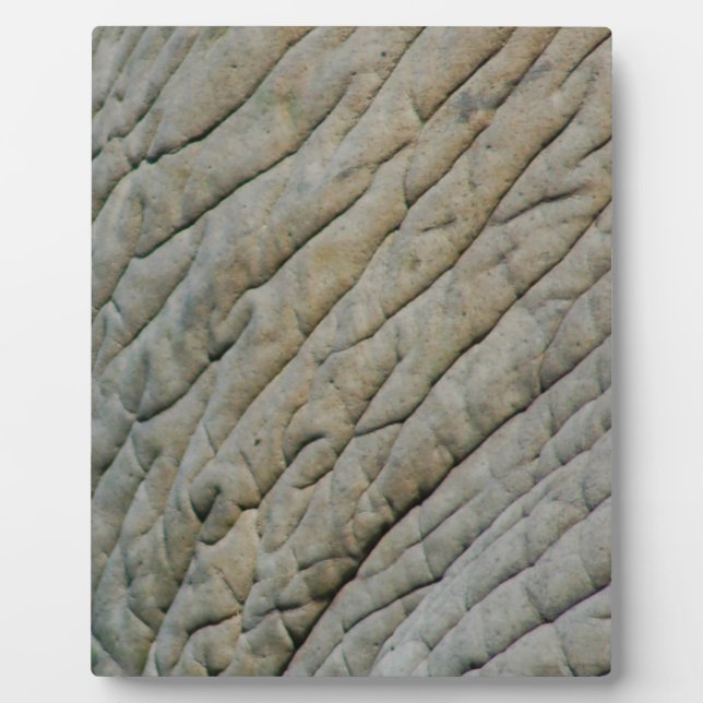 Elephant Skin Personalized With Your Name Fotoplatte (Vorderseite)