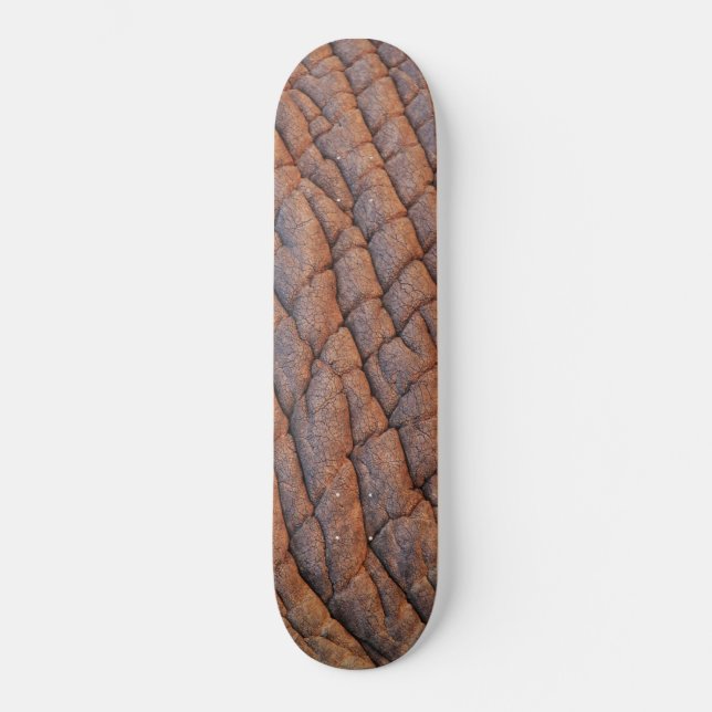Elephant Skin Skateboard (Vorderseite)