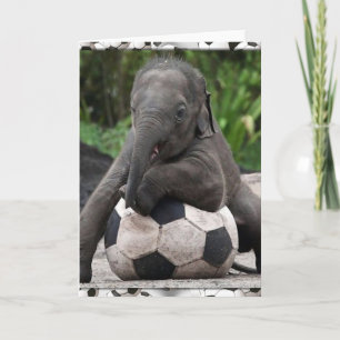 Elephant Soccer Karte