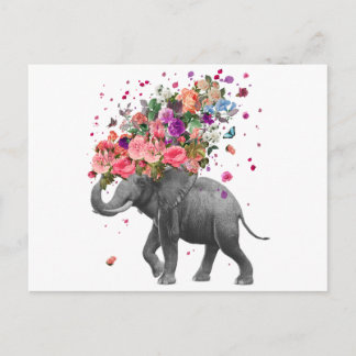 Elephant Splash Postkarte