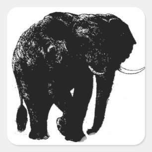 Elephant Square Sticker
