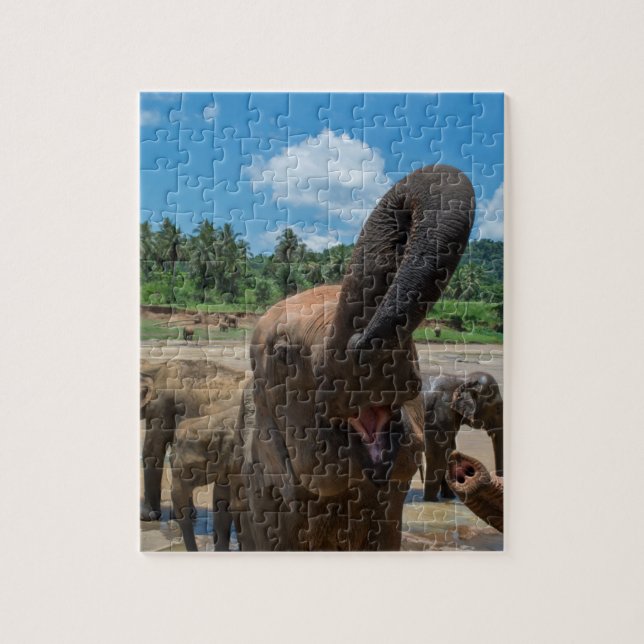 Elephant Sri Lanka (Vertikal)