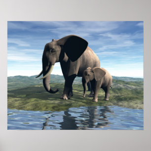 Elephant und Baby Poster