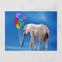 Elephant und Balloons