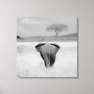 Eléphant, vue arrière Toile enveloppée