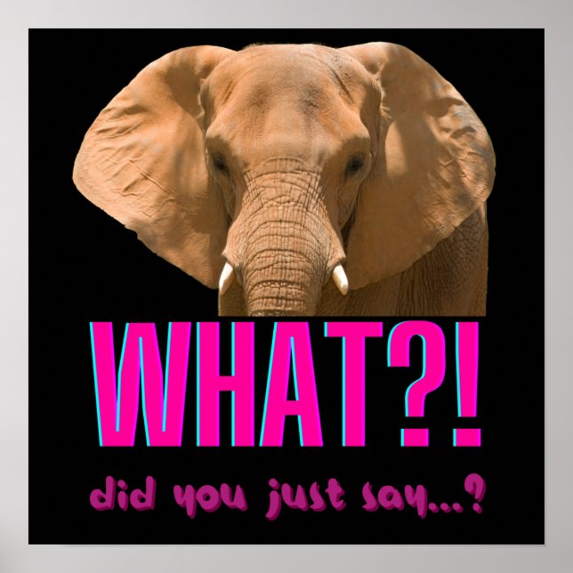 Elephant What Did You Just Say? Poster (Vorne)