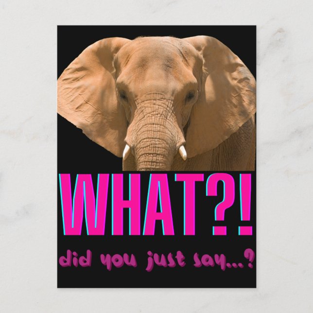 Elephant What Did You Just Say? Postkarte (Vorderseite)
