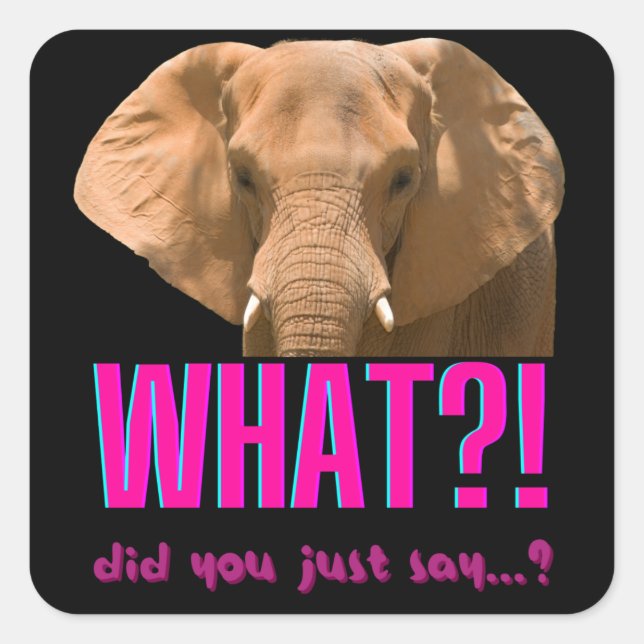 Elephant What Did You Just Say? Quadratischer Aufkleber (Vorderseite)