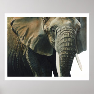 "Elephant Wildlife Animal Water color" Poster