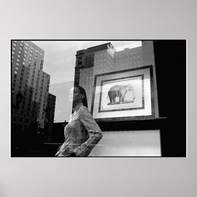 Elephant Window Poster (Vorne)