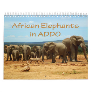 Éléphants africains dans le calendrier d'Addo