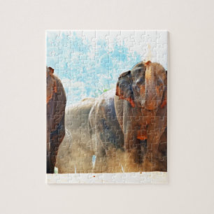 Elephants Animals Safari Destiny Peace Liebe