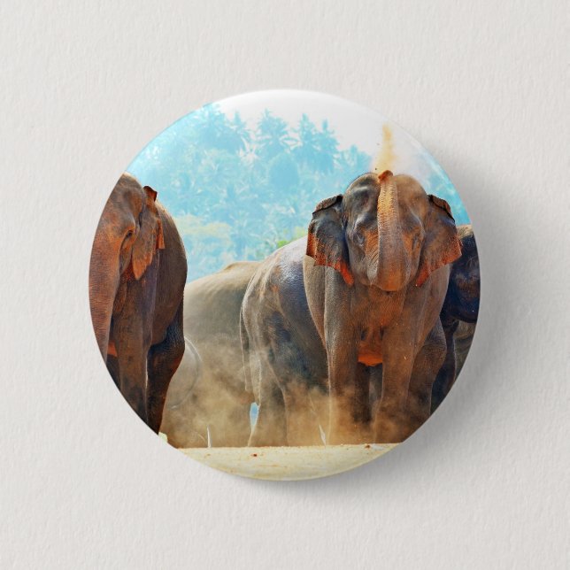 Elephants Animals Safari Destiny Peace Liebe Button (Vorderseite)