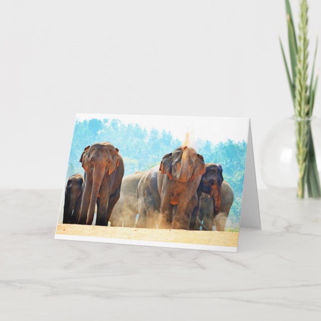 Elephants Animals Safari Destiny Peace Liebe Karte (Vorderseite)