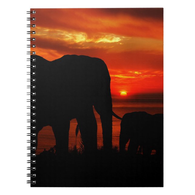 Elephants at Sunset Notizblock (Vorderseite)