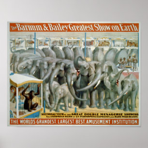 Éléphants et double affiche de cirque de ménagerie