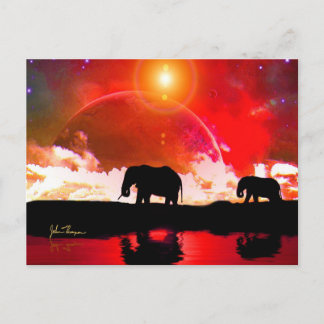 Eléphants parmi les étoiles carte postale