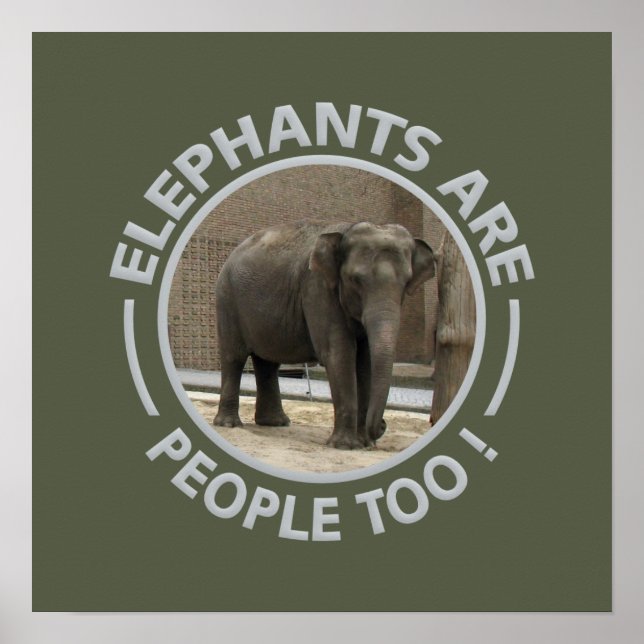 ELEPHANTS-Plakat Poster (Vorne)