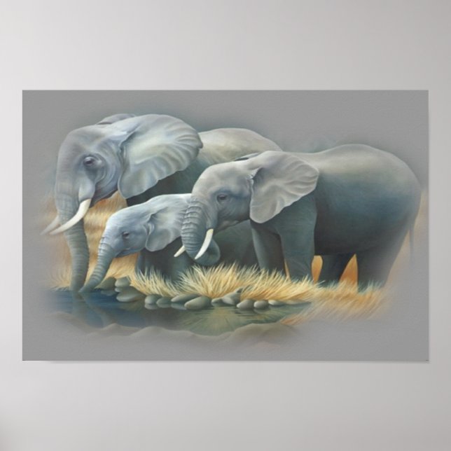 Elephants Poster (Vorne)