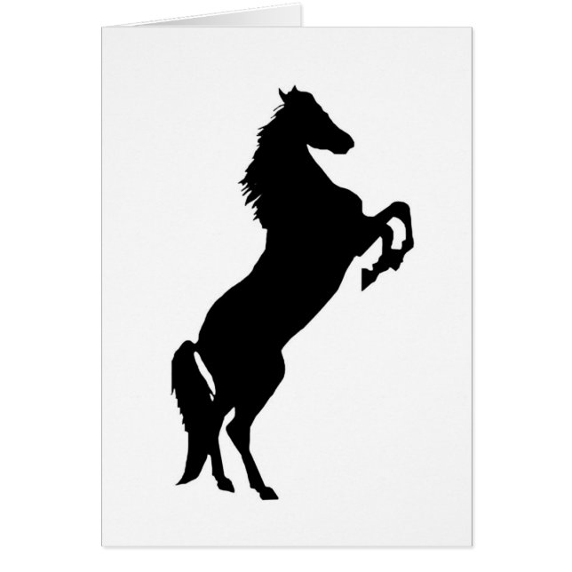 Élevage du cheval (Devant)