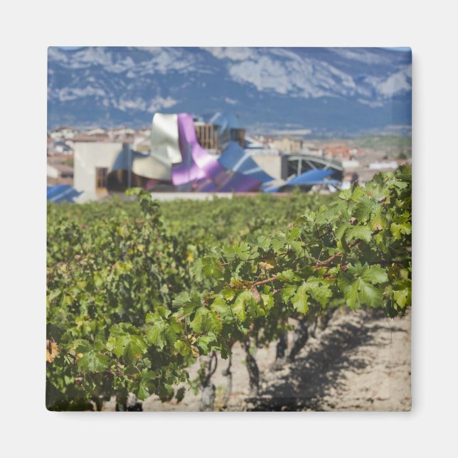 Elevated town view and Hotel Marques de Riscal Magnet (Vorne)