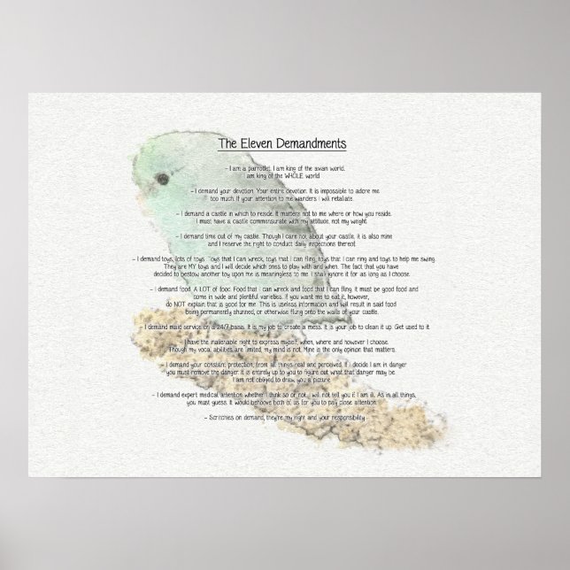 Elf Anforderungen der Parrotlets Poster (Vorne)