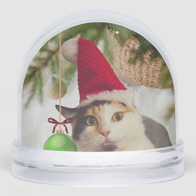 Elf Cat Merry Christmas Schneekugeln (Vorderseite)