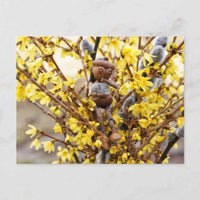 Elf d'Acorn avec carte postale de printemps (Devant)