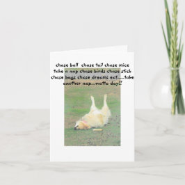 Elf der Clown Feiertagskarte