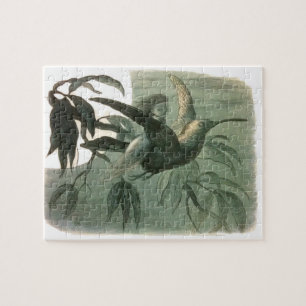 Elf Fairies Elves Moon Night Scene Bird Flying