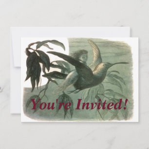 Elf Fairies Elves Moon Night Scene Bird Flying Einladung